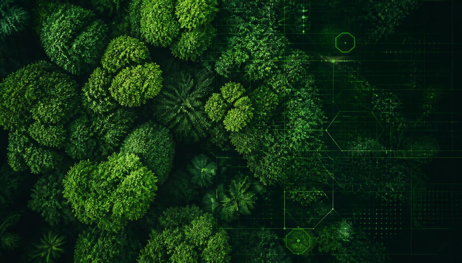 Vista aérea de floresta integrada a uma malha geométrica de tecnologia